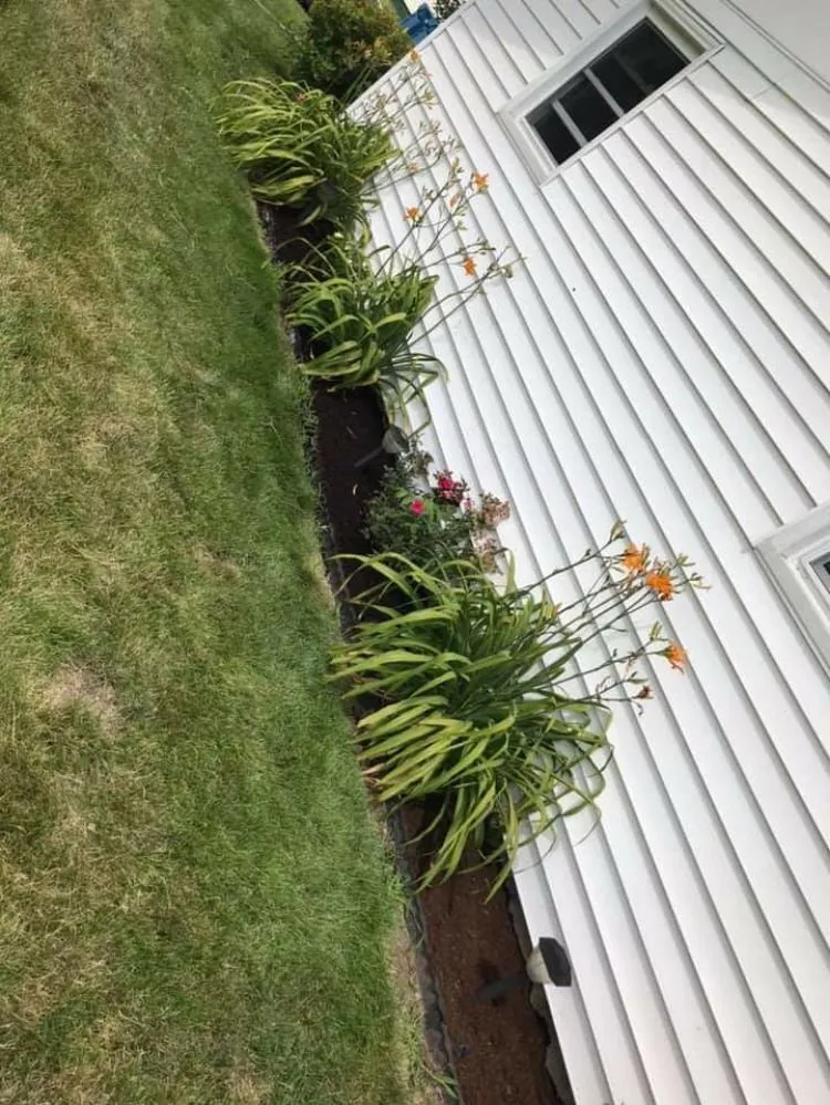 Expert lawn care service near you across Bourbonnais, IL - Top Dawg Services And Maintenance