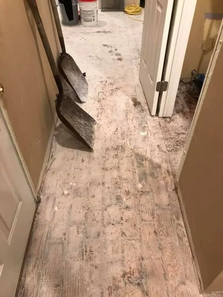 Custom lawn mowing service in Bourbonnais, IL by Top Dawg Services And Maintenance