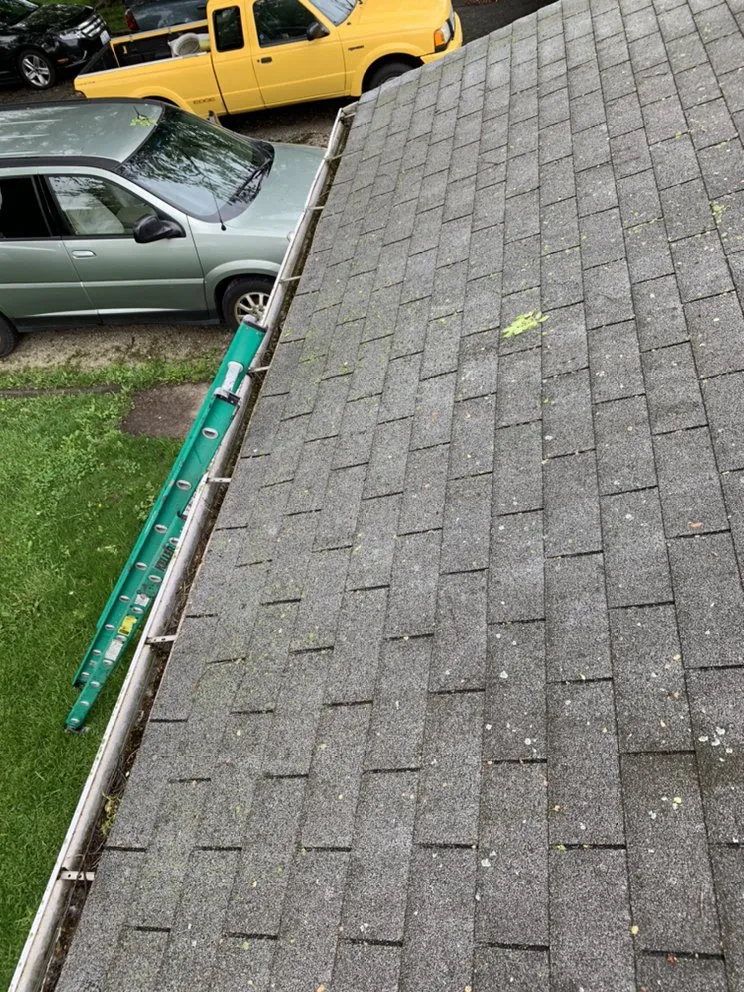 Professional landscaping services in Bourbonnais, IL by Top Dawg Services And Maintenance