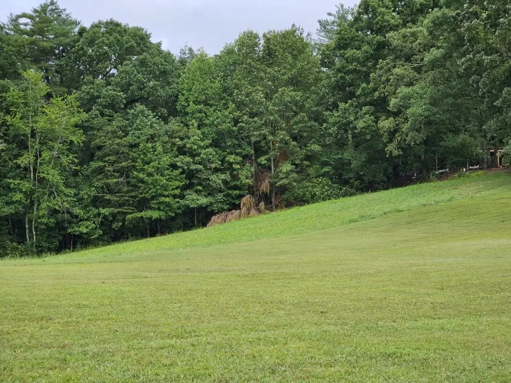 Trusted landscape design in Hudson, NC - Top Dawg Services