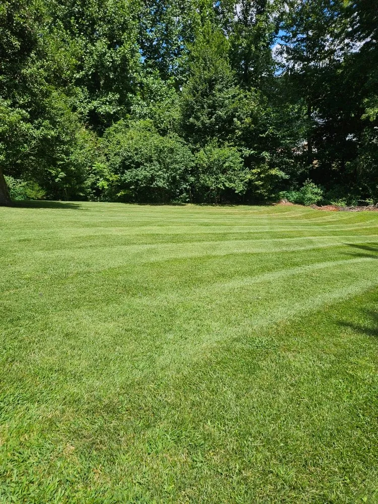 Top-rated lawn mowing service in Hudson, NC by Top Dawg Services