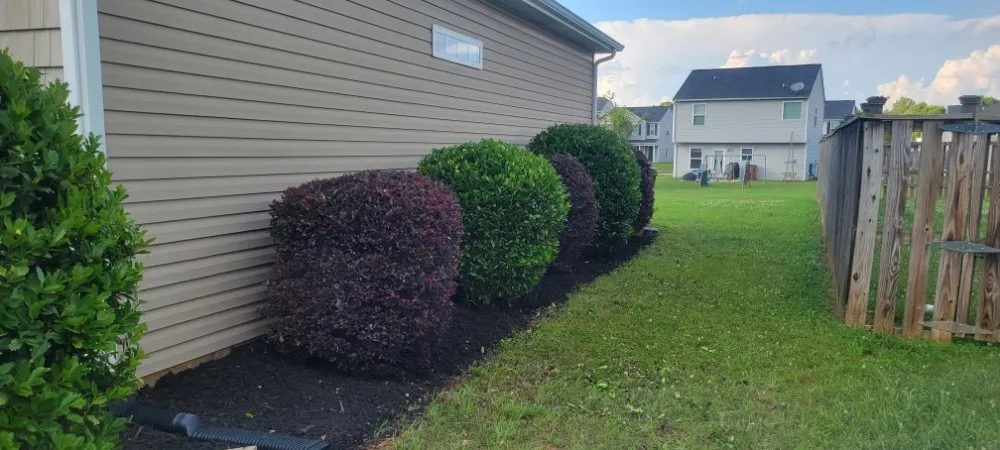 Local residential landscaping in Hudson, NC - Top Dawg Services