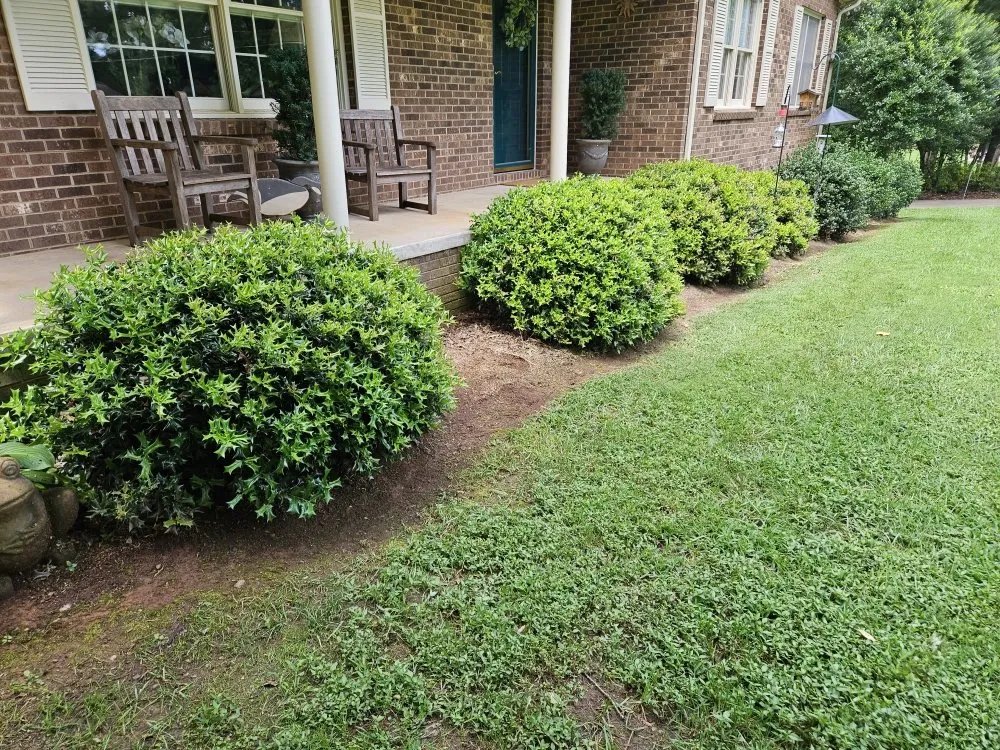 Local lawn mowing service in Hudson, NC by Top Dawg Services