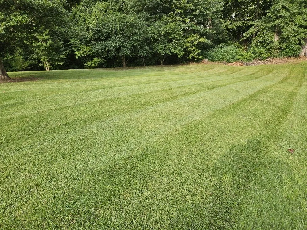 Reliable yard maintenance with custom design in Hudson, NC by Top Dawg Services