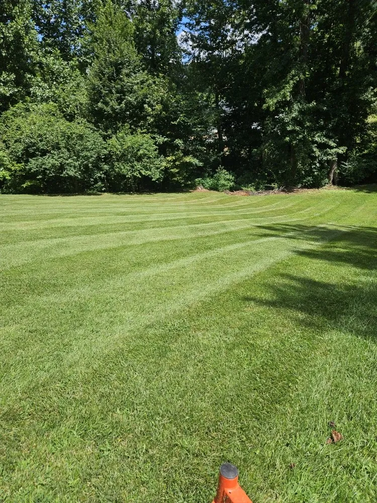 Expert yard cleanup service for homes across Hudson, NC - Top Dawg Services