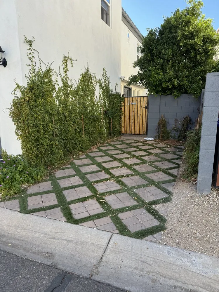 Reliable yard maintenance in Glendale, AZ - Top Desert Hardscaping