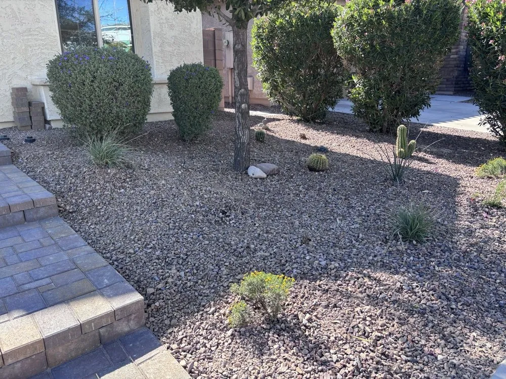 Custom yard cleanup service in Glendale, AZ - Top Desert Hardscaping