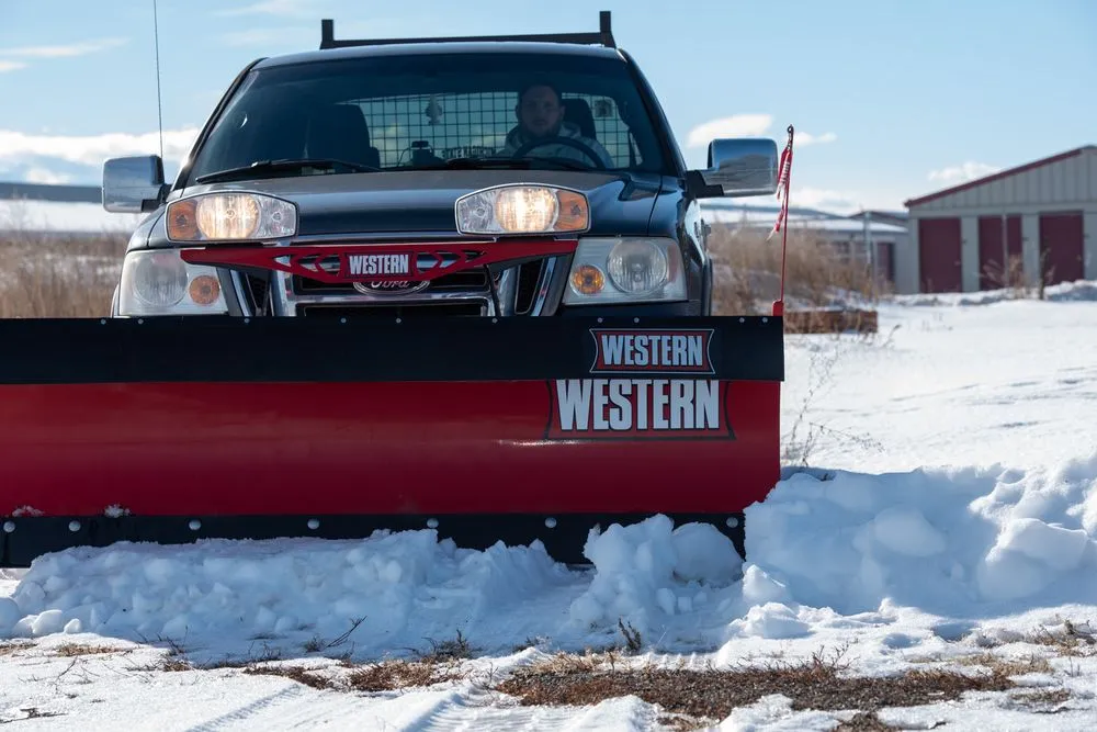 Custom yard cleanup service with custom design across Belgrade, MT - Top Dog Landscaping