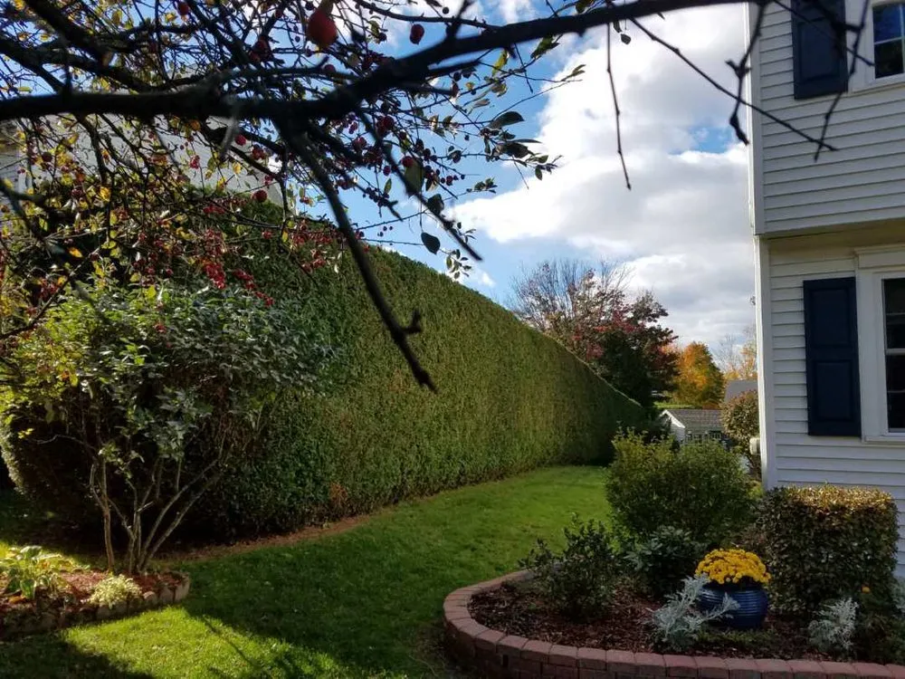Top-rated residential landscaping near you across St. George, VT - Top Dog Landscaping