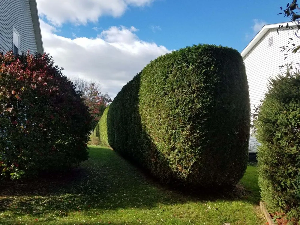 Professional landscaping services for year-round maintenance in St. George, VT by Top Dog Landscaping