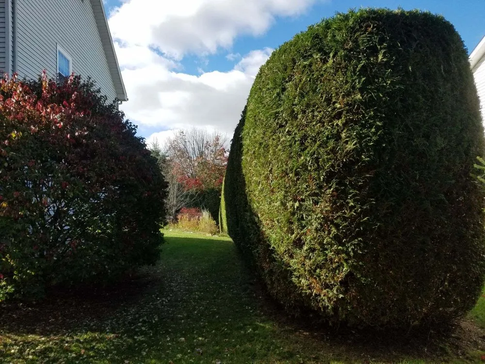 Expert residential landscaping for residential properties across St. George, VT - Top Dog Landscaping