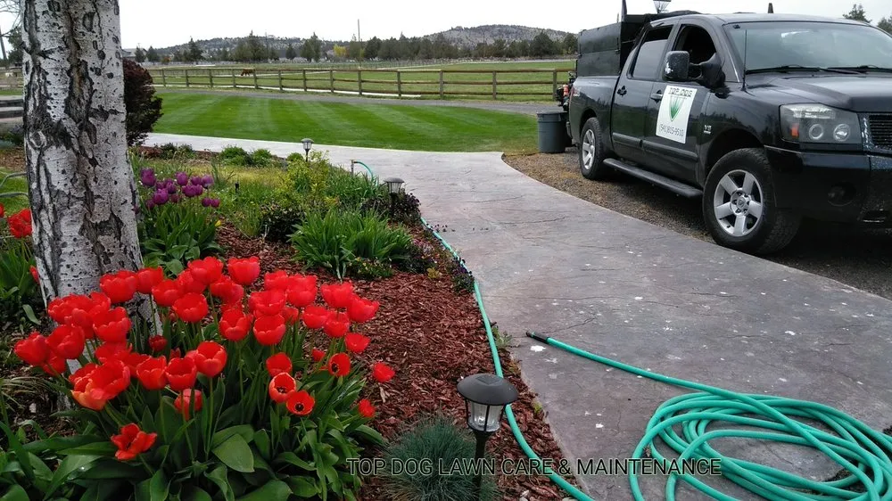 Top-rated lawn care service for outdoor upgrades across Redmond, OR - Top Dog Lawn Care & Maintenance