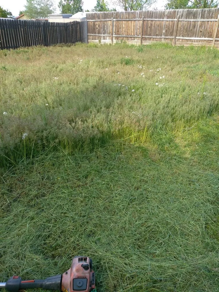 Expert landscaping services experts serving Redmond, OR - Top Dog Lawn Care & Maintenance