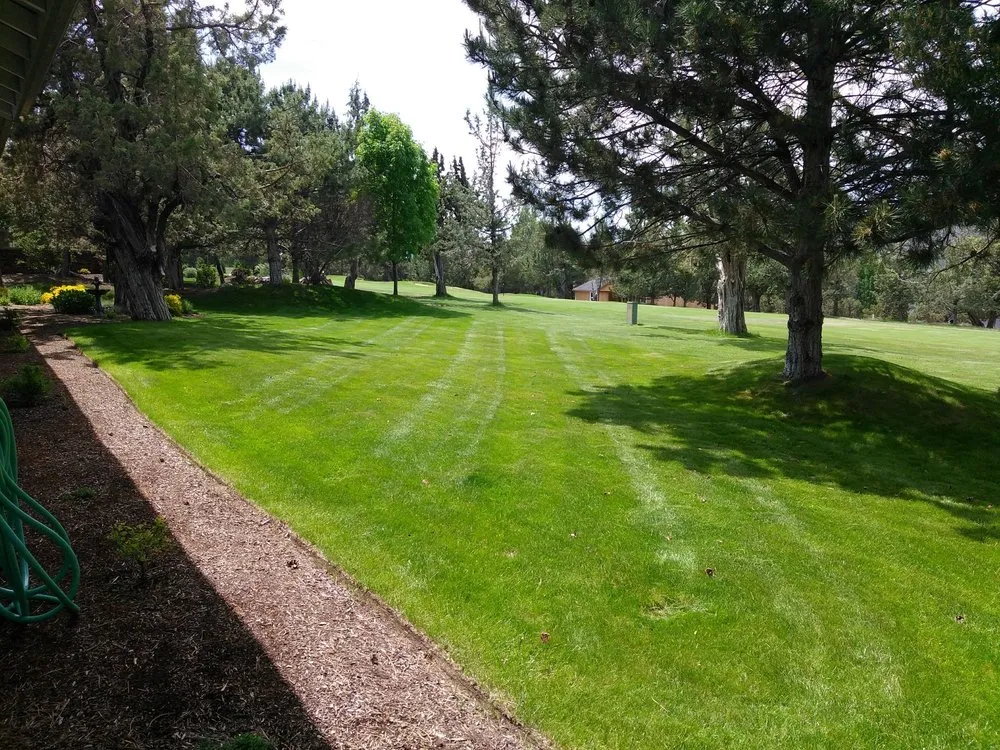 Local yard maintenance experts serving Redmond, OR - Top Dog Lawn Care & Maintenance