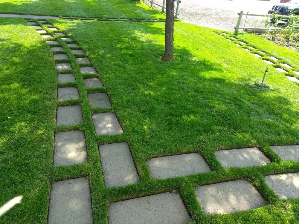 Local yard cleanup service in Redmond, OR - Top Dog Lawn Care & Maintenance