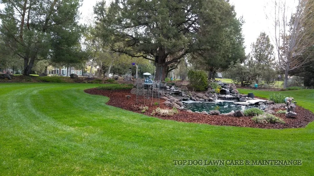 Affordable lawn mowing service in Redmond, OR by Top Dog Lawn Care & Maintenance