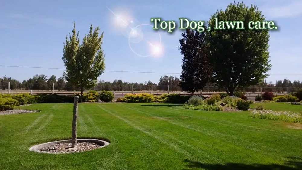 Top-rated lawn care service for homes across Redmond, OR - Top Dog Lawn Care & Maintenance