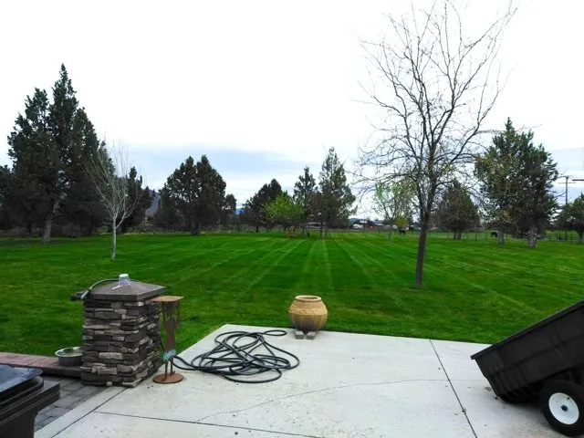 Reliable yard cleanup service in Redmond, OR - Top Dog Lawn Care & Maintenance
