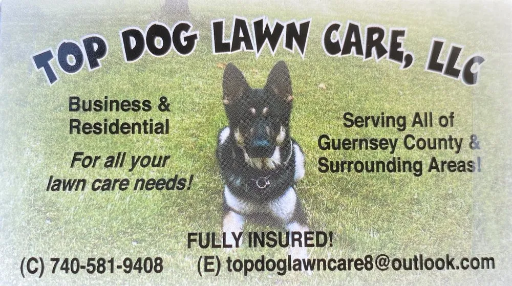 Custom yard cleanup service for beautiful yards across Cambridge, OH - Top Dog Lawn Care