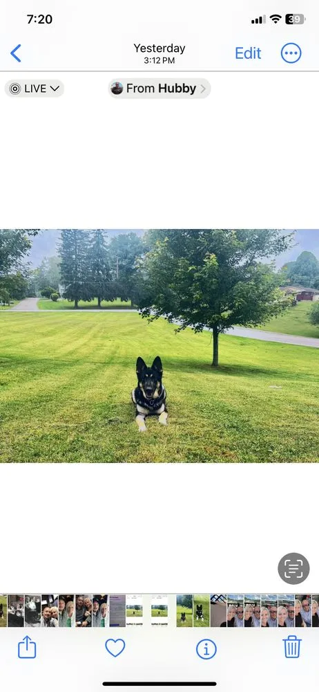 Top-rated landscape design for homes across Cambridge, OH - Top Dog Lawn Care