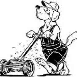 Trusted outdoor landscaping in Gainesville, FL by Top Dog Lawn Care