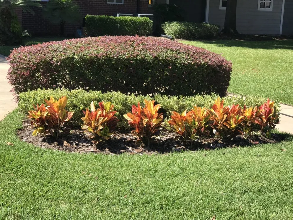 Top-rated landscape design for outdoor upgrades across Gainesville, FL - Top Dog Lawn Care