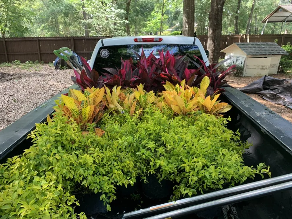 Reliable lawn care service in Gainesville, FL - Top Dog Lawn Care