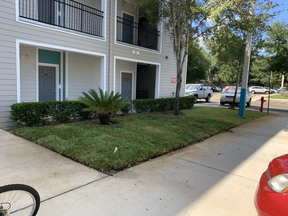 Custom yard cleanup service for year-round maintenance across Gainesville, FL - Top Dog Lawn Care