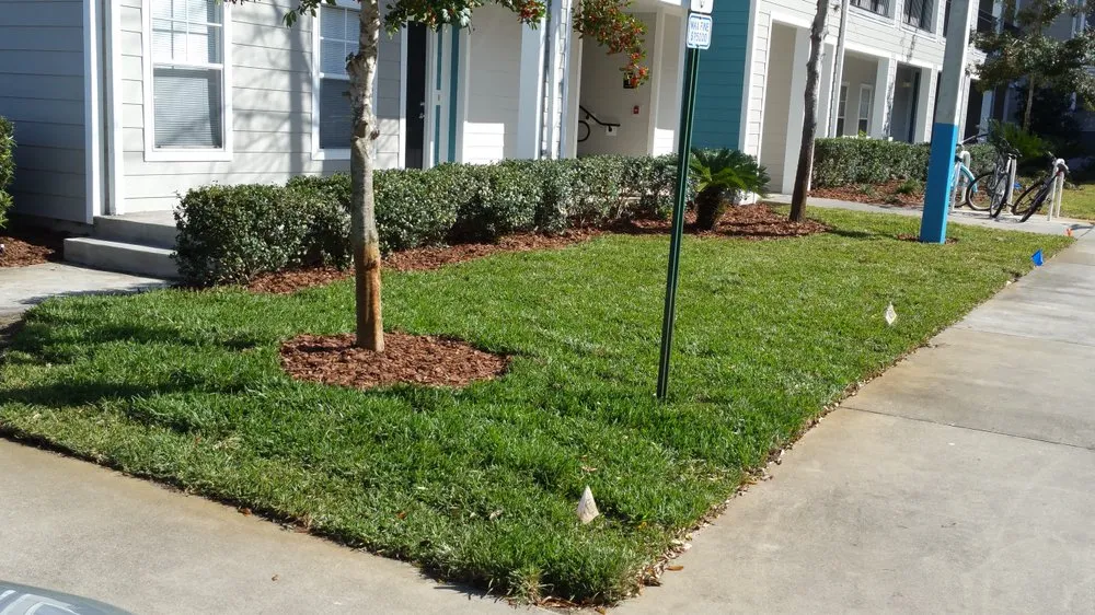 Reliable garden landscaping with custom design in Gainesville, FL by Top Dog Lawn Care