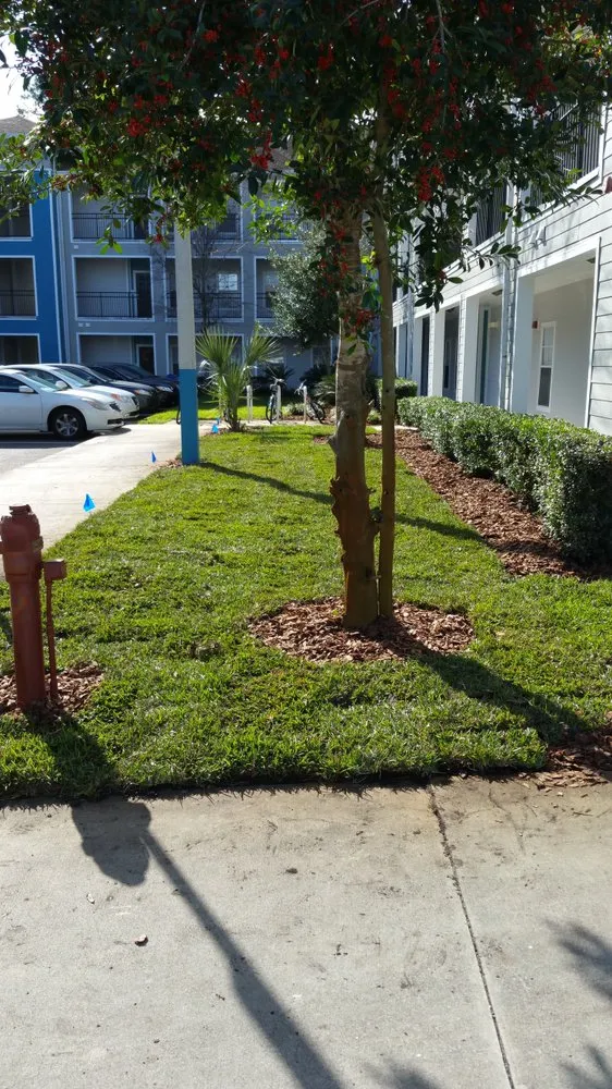 Local lawn care service for year-round maintenance across Gainesville, FL - Top Dog Lawn Care