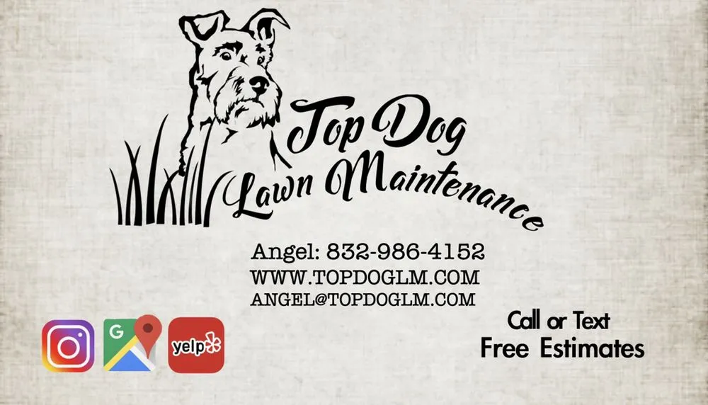 Custom landscape design experts serving Houston, TX - Top Dog Lawn Maintenance