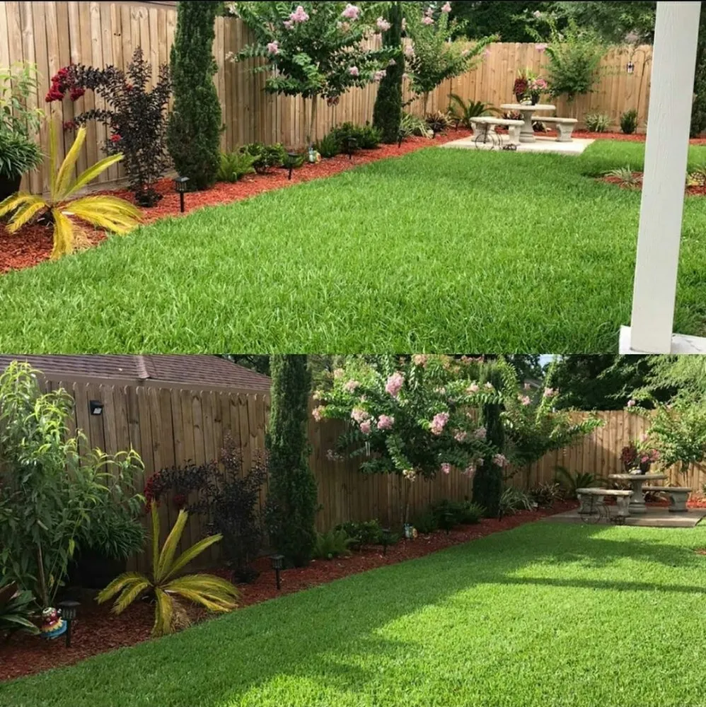 Expert yard maintenance in Houston, TX - Top Dog Lawn Maintenance