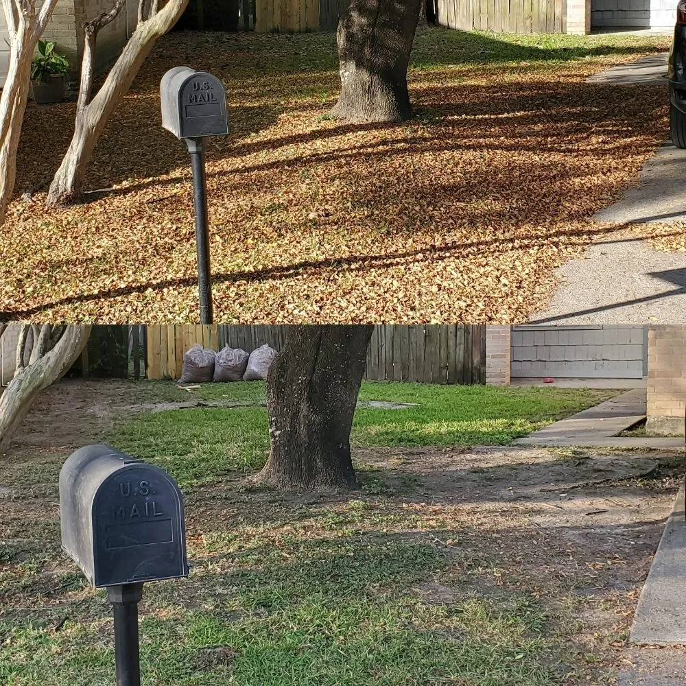 Custom landscaping services in Houston, TX by Top Dog Lawn Maintenance