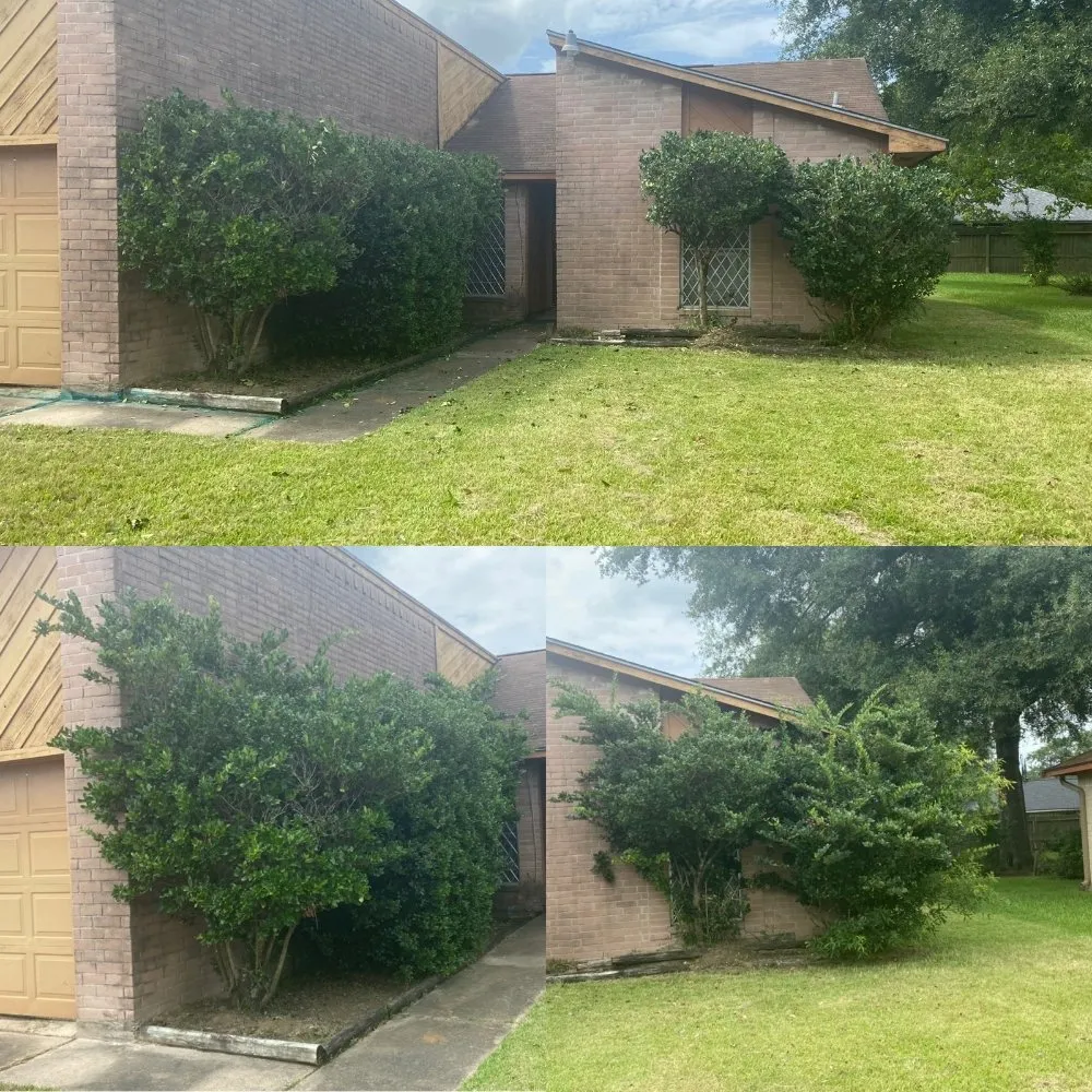 Professional residential landscaping in Houston, TX by Top Dog Lawn Maintenance