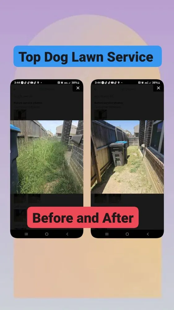 Professional lawn mowing service in Fort Worth, TX - Top Dog Lawn Service