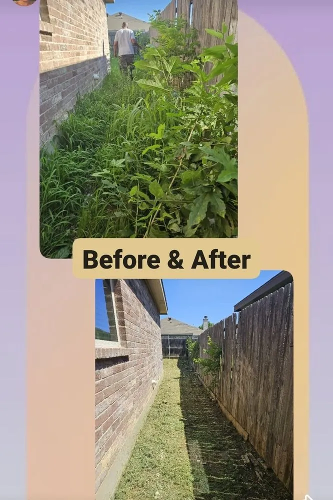 Reliable outdoor landscaping in Fort Worth, TX by Top Dog Lawn Service