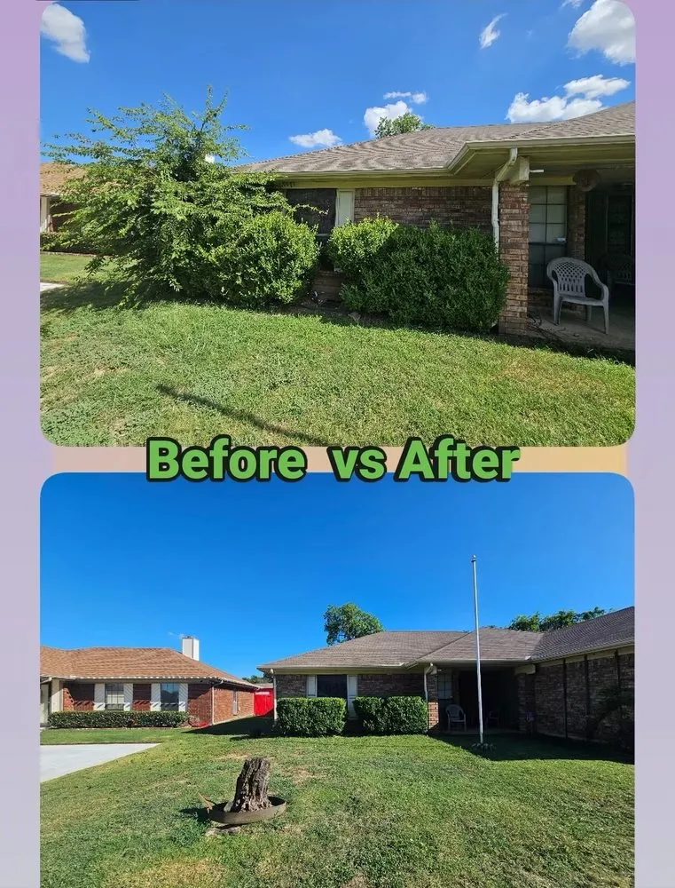 Reliable landscaping services experts serving Fort Worth, TX - Top Dog Lawn Service