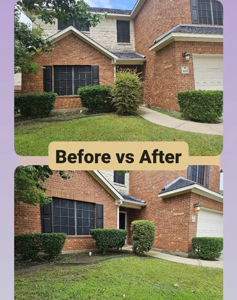 Professional lawn care service in Fort Worth, TX - Top Dog Lawn Service