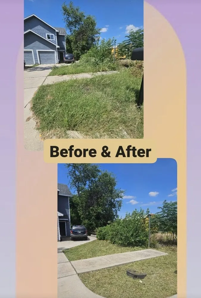 Trusted lawn care service in Fort Worth, TX - Top Dog Lawn Service