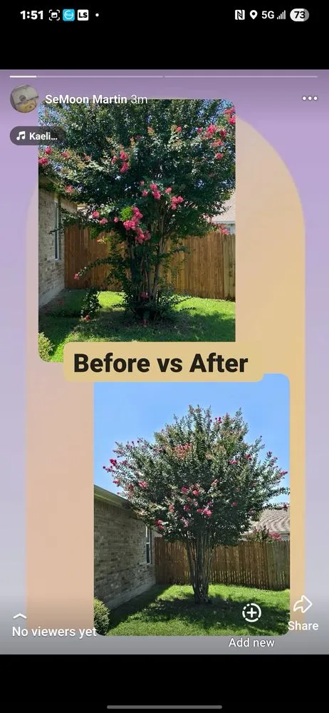 Professional yard cleanup service experts serving Fort Worth, TX - Top Dog Lawn Service