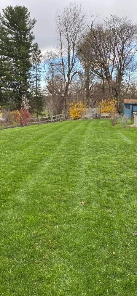Professional landscape installation experts serving Ronks, PA - Top Dog Lawn Services
