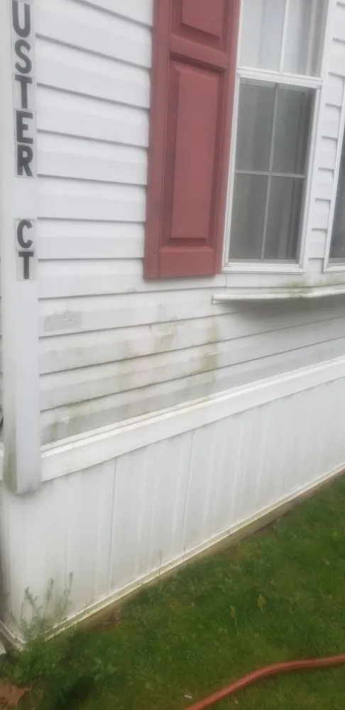 Local yard maintenance experts serving Ronks, PA - Top Dog Lawn Services