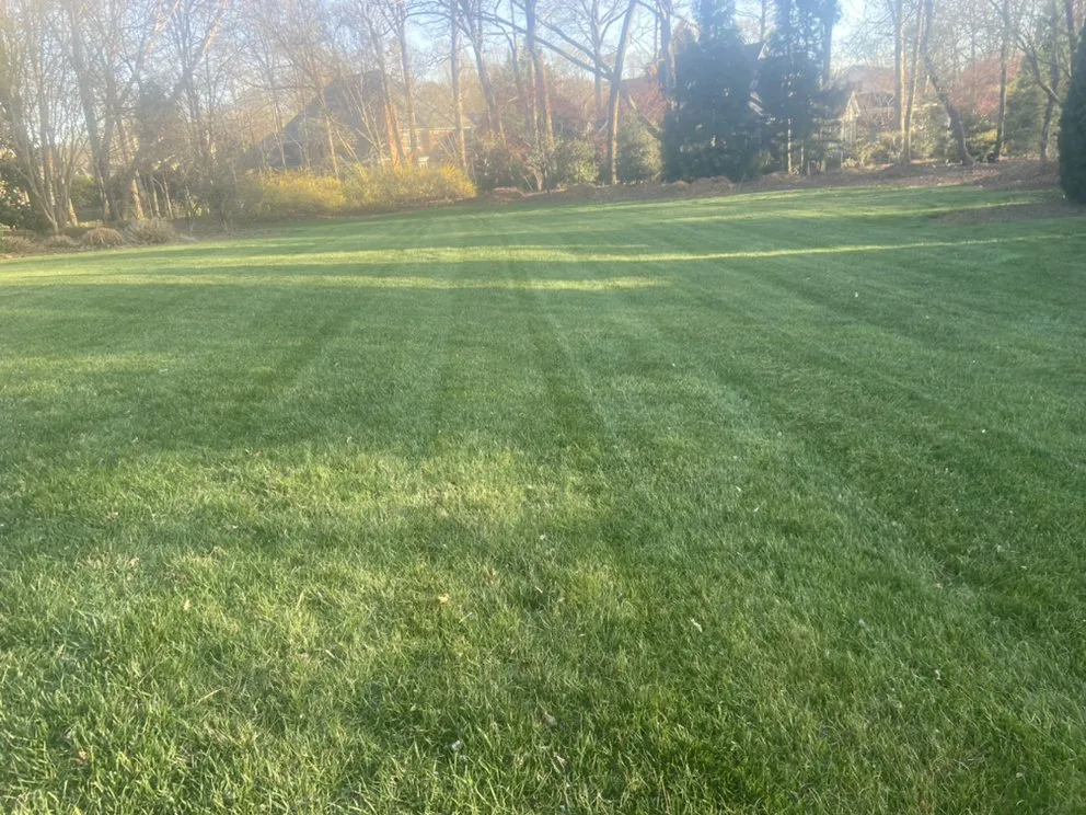 Top-rated landscaping services in Statesville, NC by Top Dog Lawncare