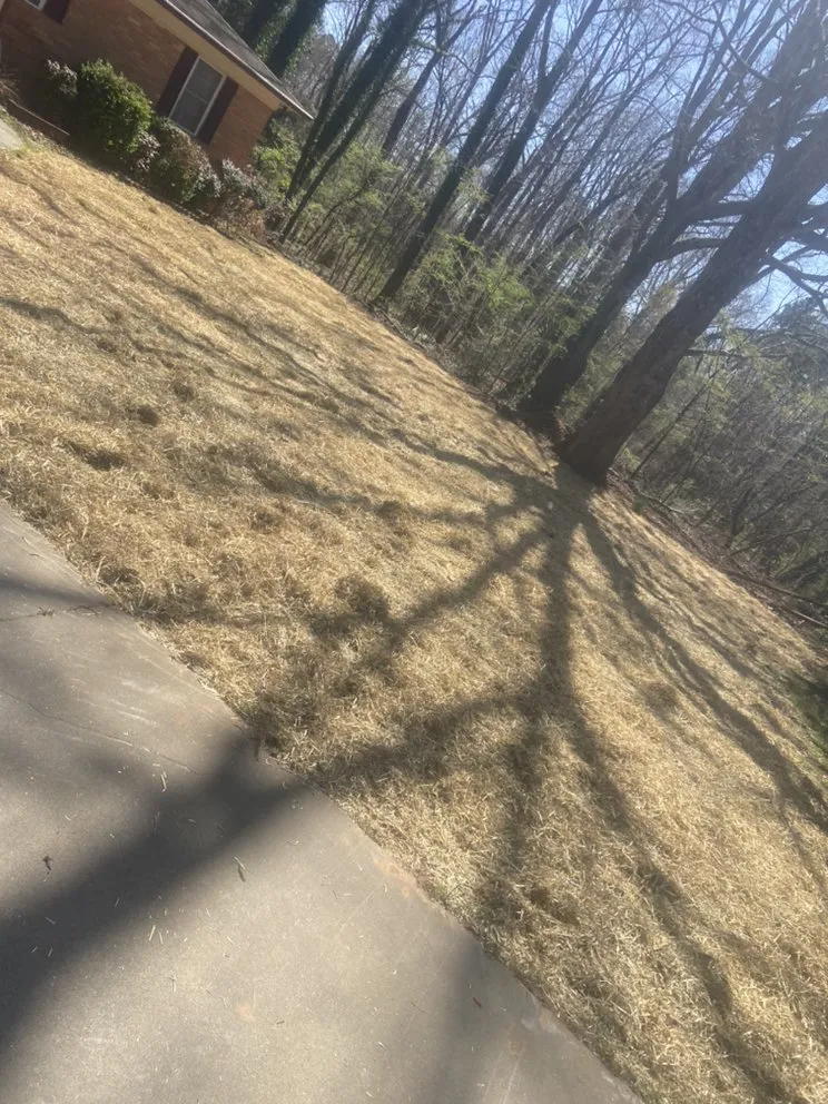 Affordable landscape installation for year-round maintenance across Statesville, NC - Top Dog Lawncare