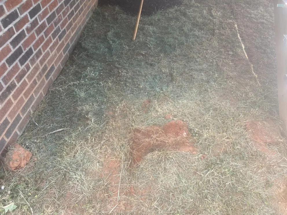 Trusted yard maintenance in Statesville, NC - Top Dog Lawncare