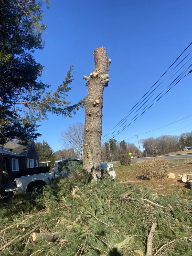 Affordable landscape design for residential properties across Statesville, NC - Top Dog Lawncare