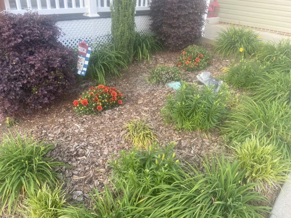 Trusted yard cleanup service in Statesville, NC - Top Dog Lawncare