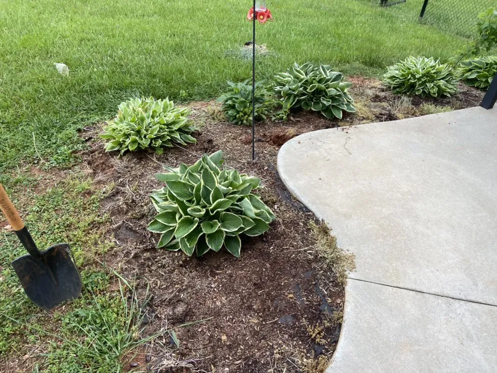 Custom yard cleanup service experts serving Statesville, NC - Top Dog Lawncare