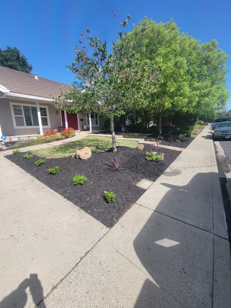 Expert garden landscaping for homes in Bay Point, CA by Top End Construction & Landscape