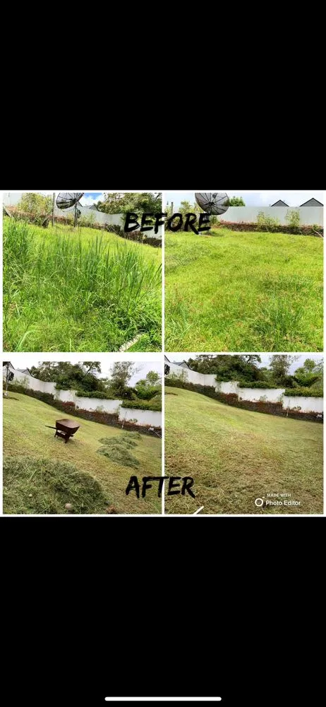 Trusted landscaping services for homes across Mountain View, HI - Top End Services